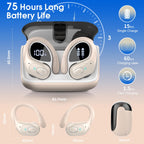 HD65 Bluetooth 5.4 Wireless Earbuds for Sports