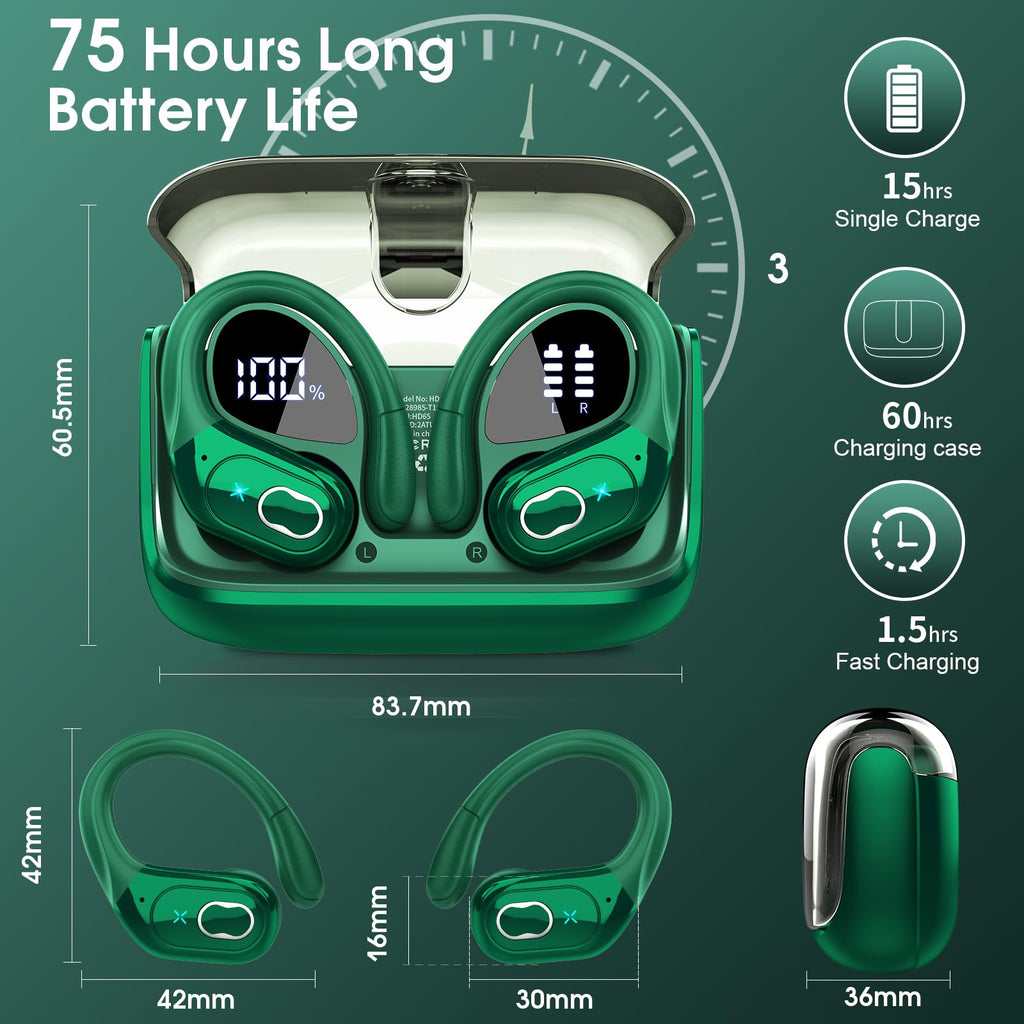 HD65 Bluetooth 5.4 Wireless Earbuds for Sports