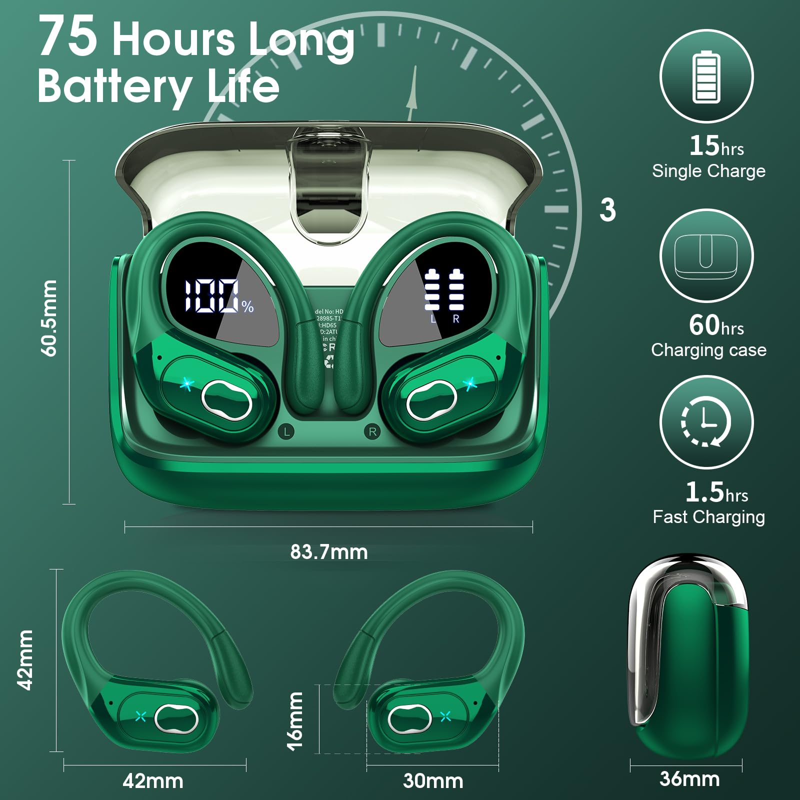 HD65 Bluetooth 5.4 Wireless Earbuds for Sports