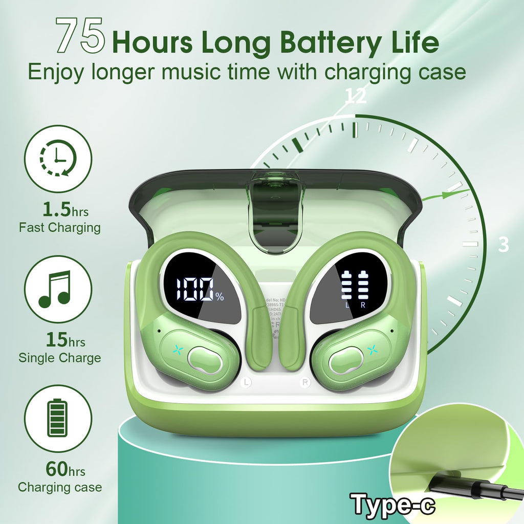 HD65 Bluetooth 5.4 Wireless Earbuds for Sports