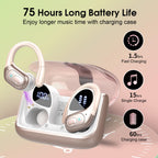 HD65 Bluetooth 5.4 Wireless Earbuds for Sports