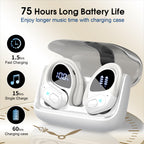 HD65 Bluetooth 5.4 Wireless Earbuds for Sports